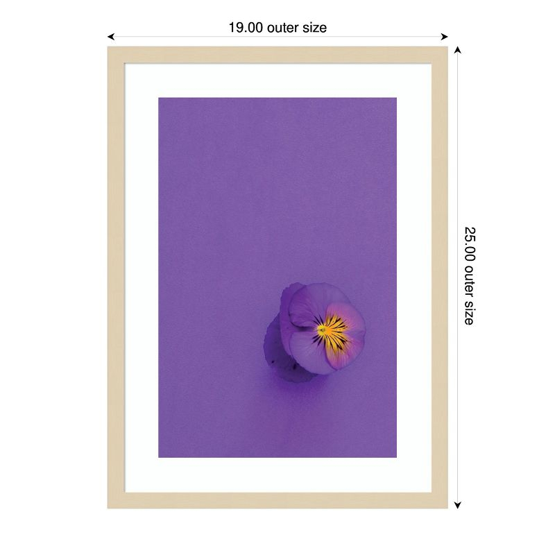 Amanti Art Lavender Pansy by Incado Wood Framed Wall Art Print 19 x 25