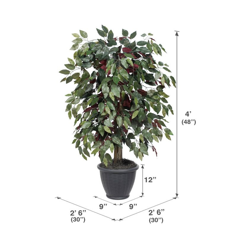 Vickerman 4' Artificial Capensia Bush, Gray Round Plastic Container. In a 12"Lx12"Wx9"H base.