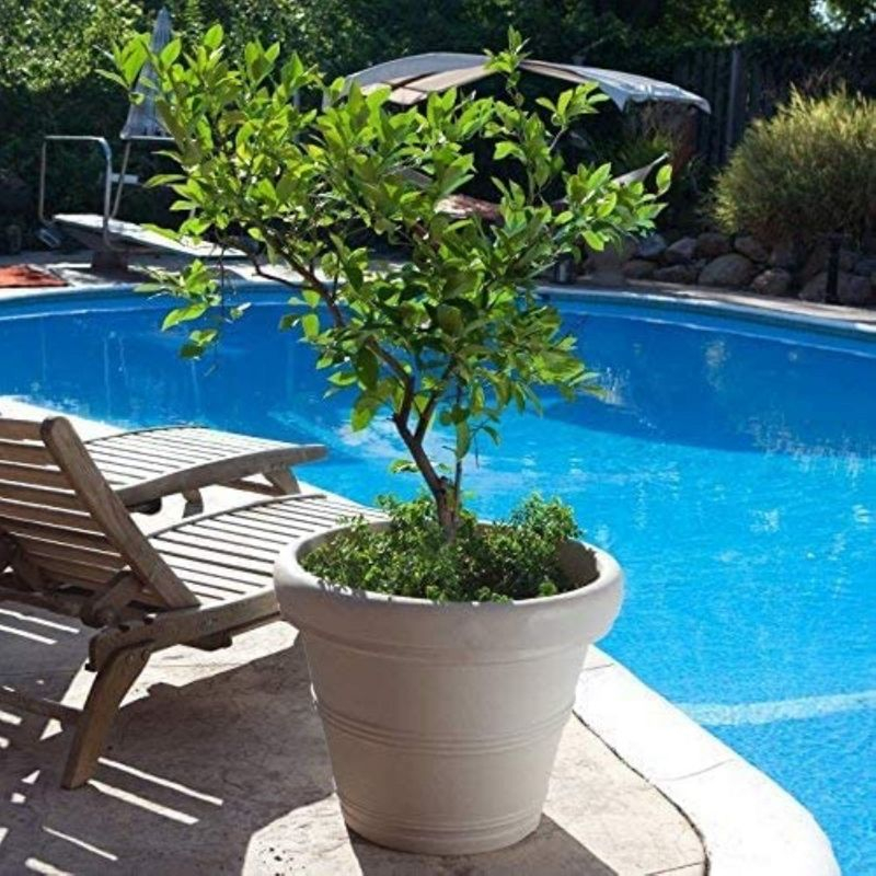 Crescent Garden Brunello Classic Rolled-Rim Plant Pot, Weathered Concrete, 12in