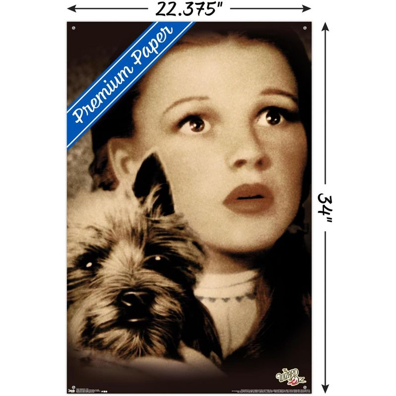 Trends International The Wizard Of Oz - Duo Unframed Wall Poster Print Clear Push Pins Bundle 22.375" x 34"