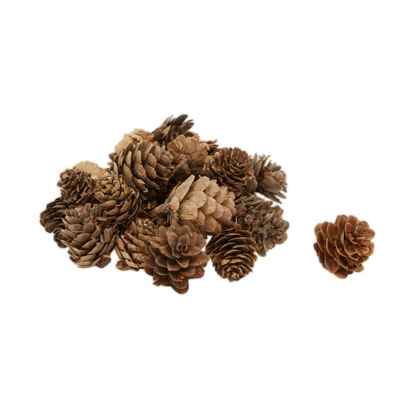 Bright Creations 75 Pieces Craft Foam DIY Wreath Forms, Pinecones, Berries, Leaves, Burlap Ribbon, 8 In