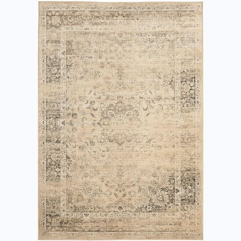 Vintage VTG113 Power Loomed Indoor Area Rug - Warm Beige - 10'x14' - Safavieh.