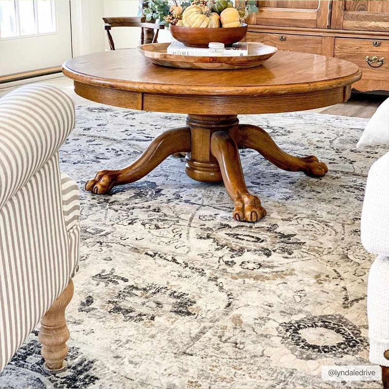 Hauteloom Rectangle Area Rug   Charcoal