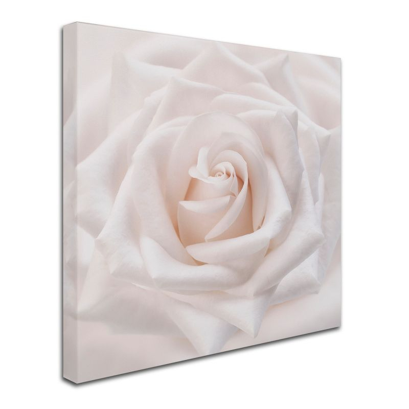 Trademark Fine Art -Cora Niele 'Soft White Rose' Canvas Art