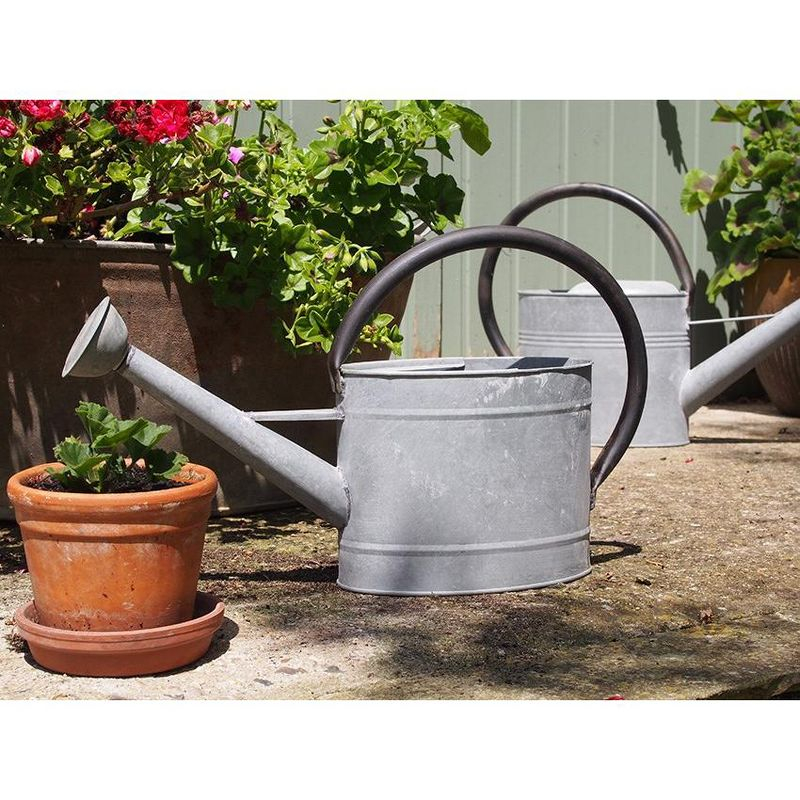Tierra Garden 1.3-gal Oval Aged Zinc Watering Can