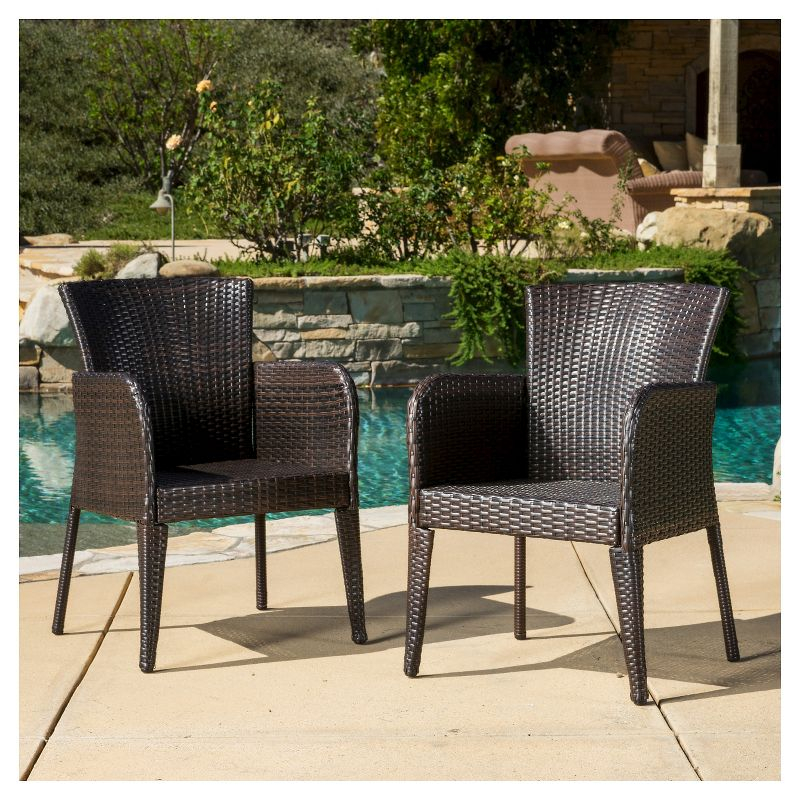 Anaya Set of 2 Wicker Patio Dining Chair - Brown - Christopher Knight Home: Outdoor Seating, Iron Frame, Weather-Resistant