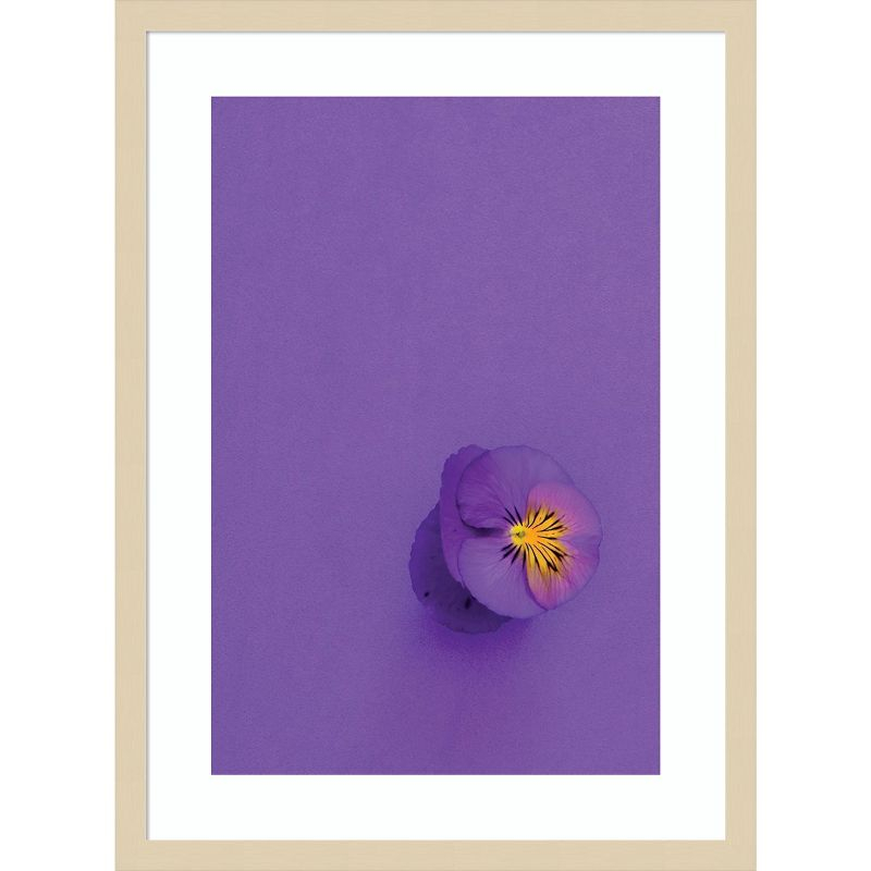 Amanti Art Lavender Pansy by Incado Wood Framed Wall Art Print 19 x 25