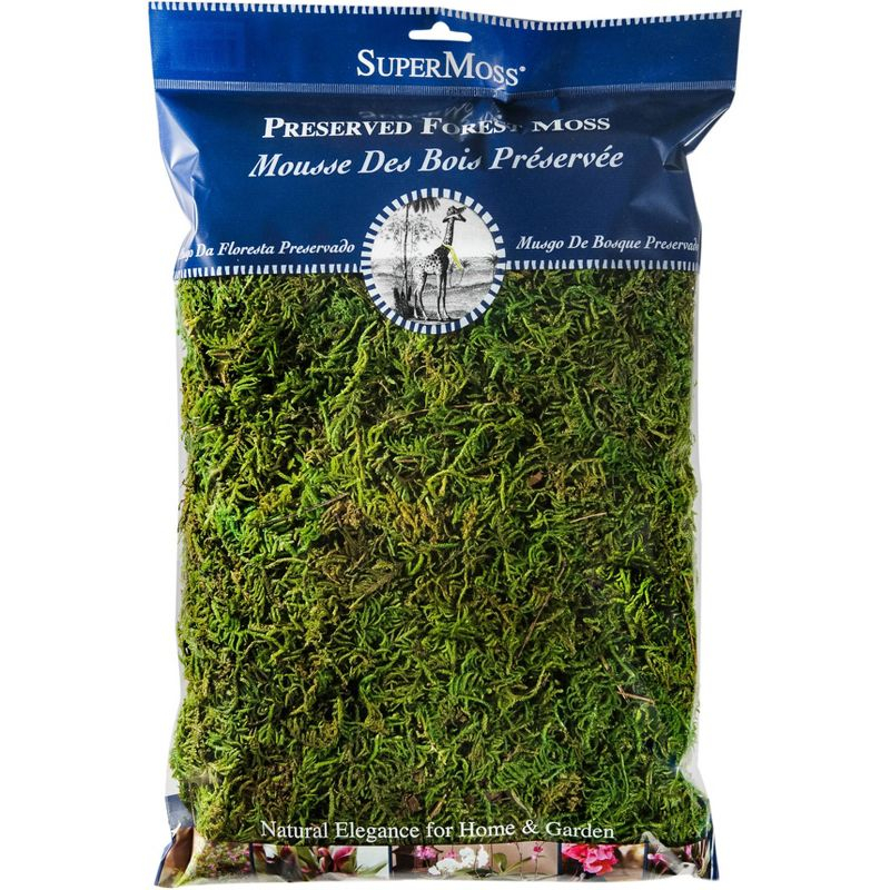 SuperMoss Preserved Forest Moss Decorative Filler: Basket Liner, Soil Topper, Craft Projects - Green