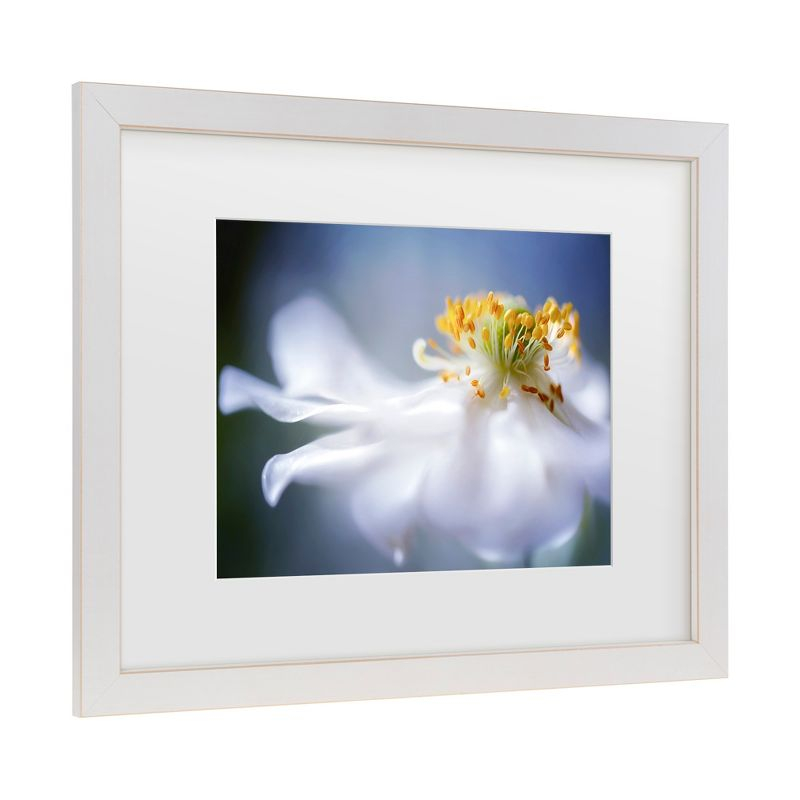 Trademark Fine Art - Mandy Disher Anemone 1 Matted Framed Art - 16x20