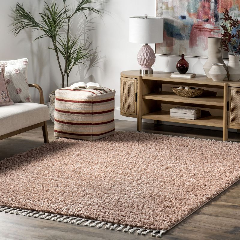 Nuloom Neva Solid 2x3 Accent Shag Indoor Area Rug for Living Room Bedroom Dining Room Nursery Entryway, Blush/Ivory