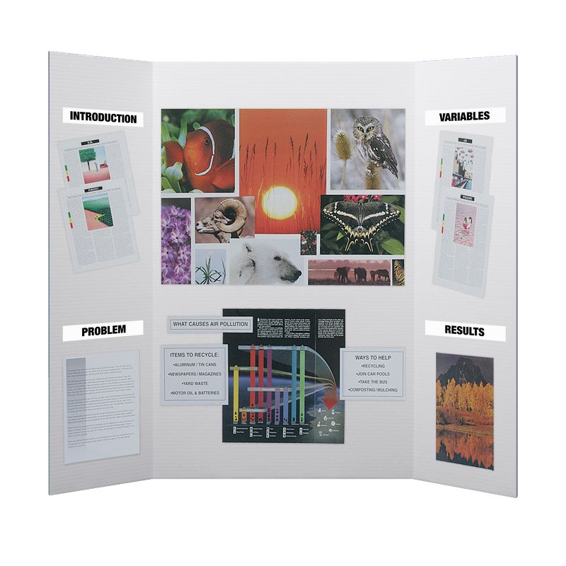 Flipside Products Flipside Products Freestanding Booth Display (Set of 10)