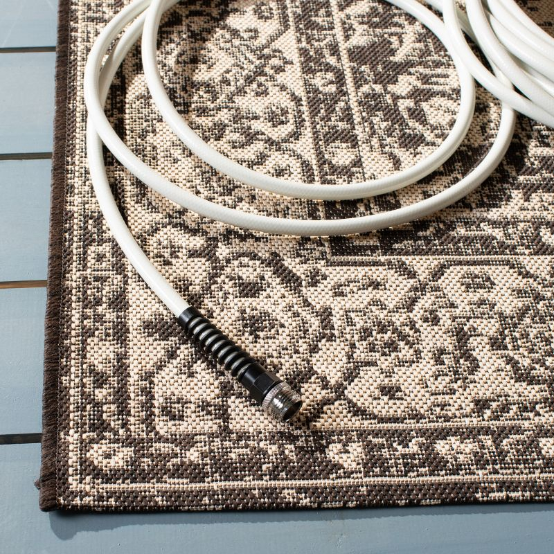 Beach House BHS137 Power Loomed Indoor/Outdoor Accent Rug - Creme/Brown - 3'x5' - Safavieh