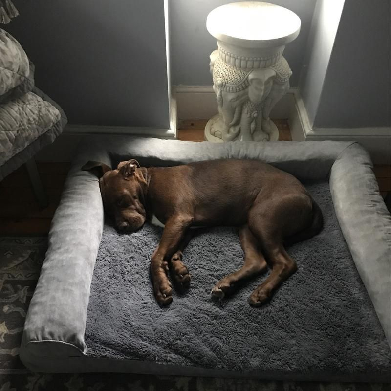 FurHaven Plush & Suede Full Support Sofa Dog Bed - Jumbo Plus, Almondine