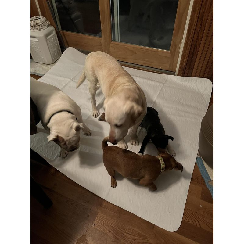 Midlee Washable Pee Pad for Dogs 60" x 72" Pack of 3