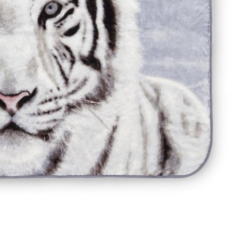 Shavel Home Products High Pile Oversized 60x80 Luxury Throw