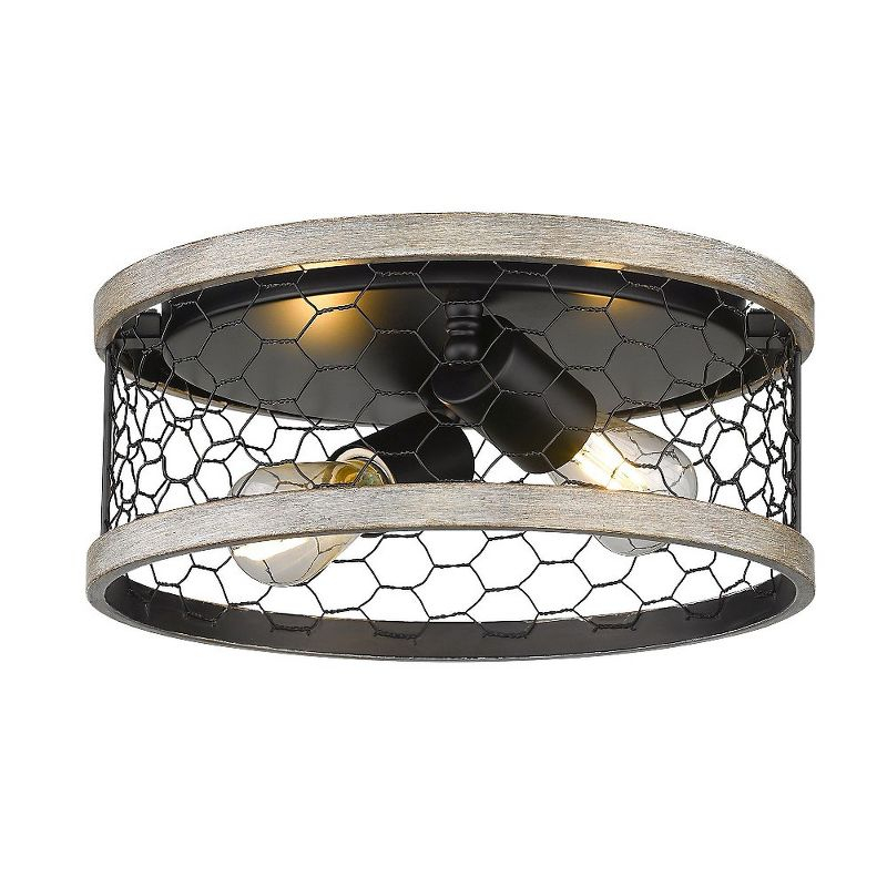 Golden Lighting Bailey 2-Light Flush Mount in Matte Black with Chicken Wire