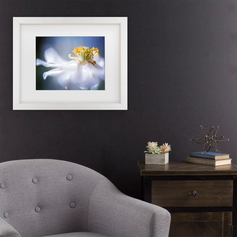 Trademark Fine Art - Mandy Disher Anemone 1 Matted Framed Art - 16x20