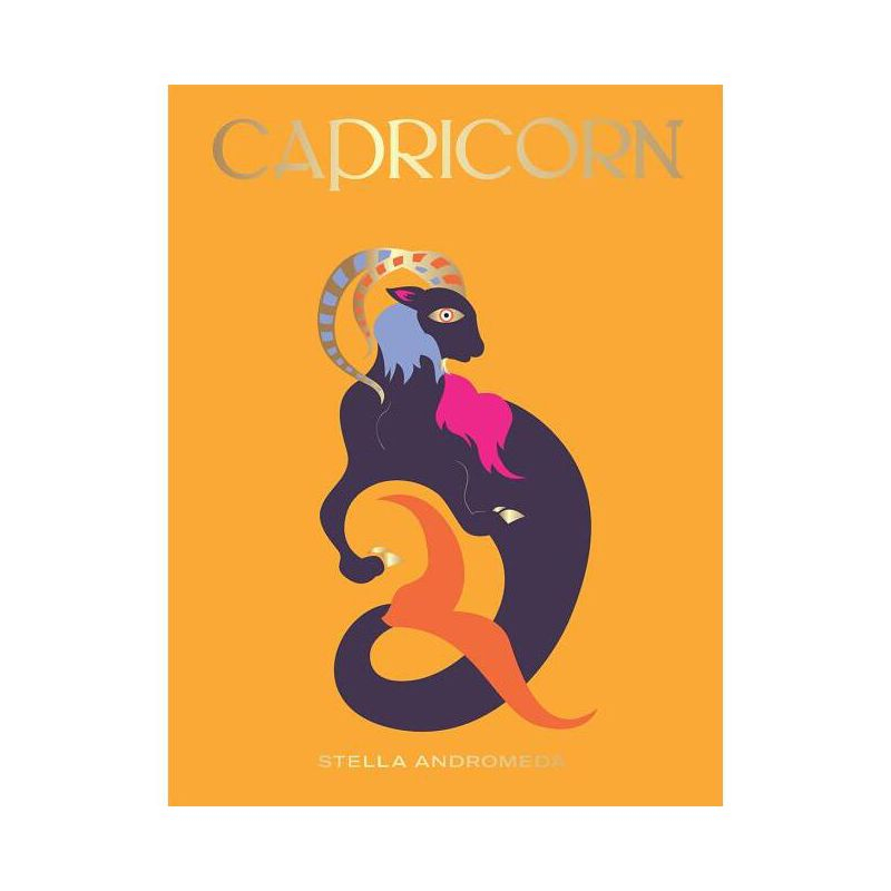 Capricorn - (Hg Seeing Stars) by  Stella Andromeda (Hardcover)