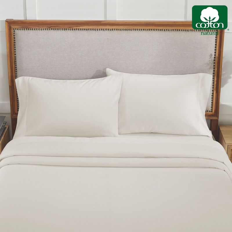 Luxury Pillowcase Set - 800 Thread Count 100% Cotton Sateen, Soft & Cooling Pillowcases by California Design Den - Ivory, Standard/Queen Pillowcases