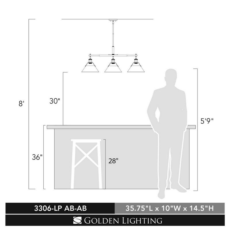Golden Lighting Orwell 3-Light Linear Pendant in Matte Black with Clear Glass
