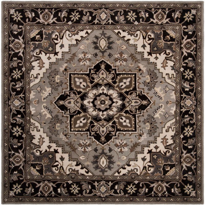 Royalty ROY700 Hand Tufted Indoor Area Rug - 7'x7' - Silver/Charcoal - Safavieh