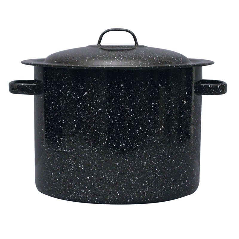 Eternal 12 qt. Non-Stick Carbon Steel Stock Pot with Lid & Reviews | Wayfair