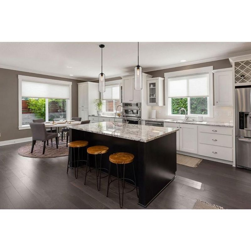 Z-Lite Monty 1 - Light Pendant in  Matte Black
