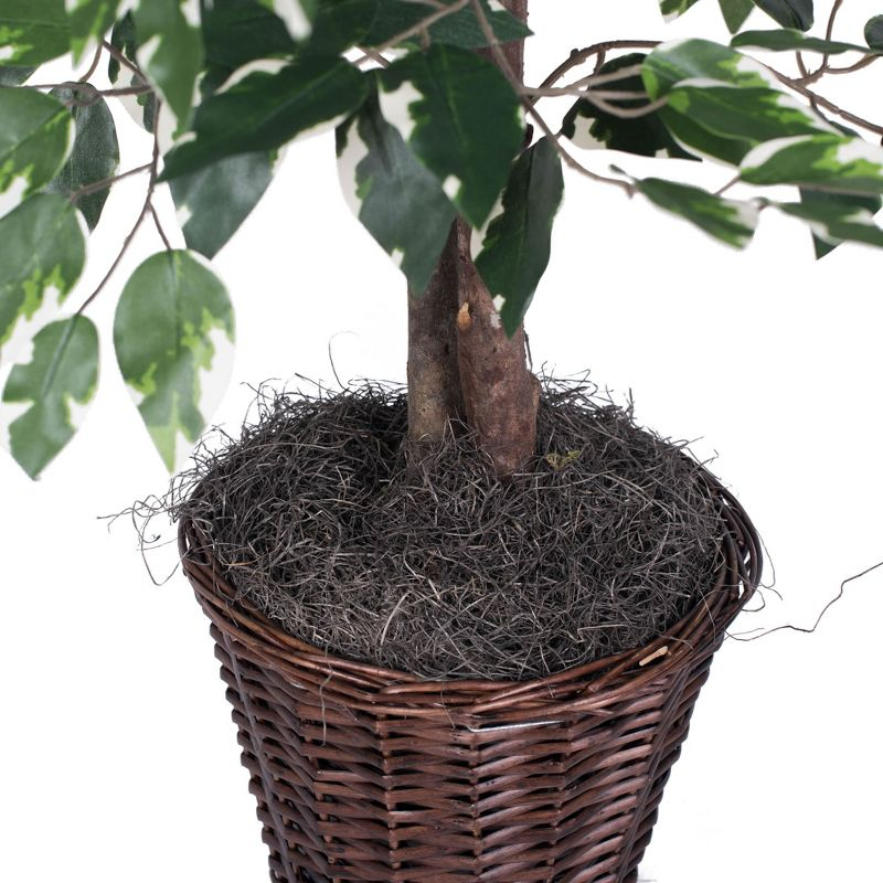 Vickerman 4' Artificial Variegated Ficus Bush, Rattan Basket In a 9"Lx9"Wx9.5"H base.