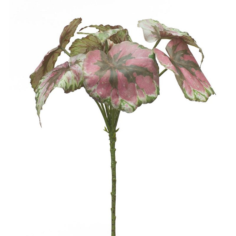 Melrose Begonia Leaf Bush (Set of 2)