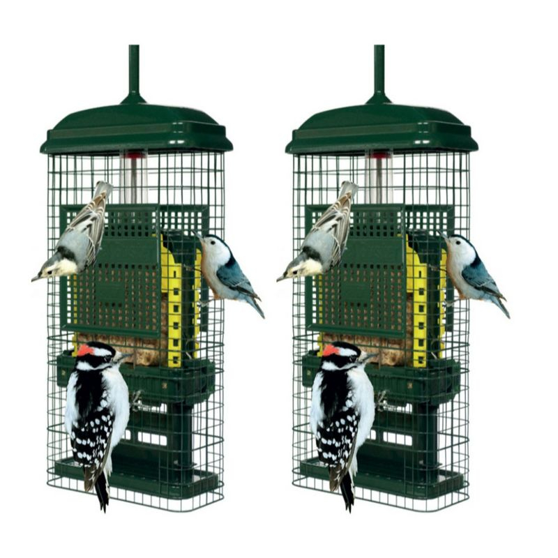 Brome Bird Care Squirrel Buster Truly Squirrel-Proof Suet Feeder (Green, 2-Pack)