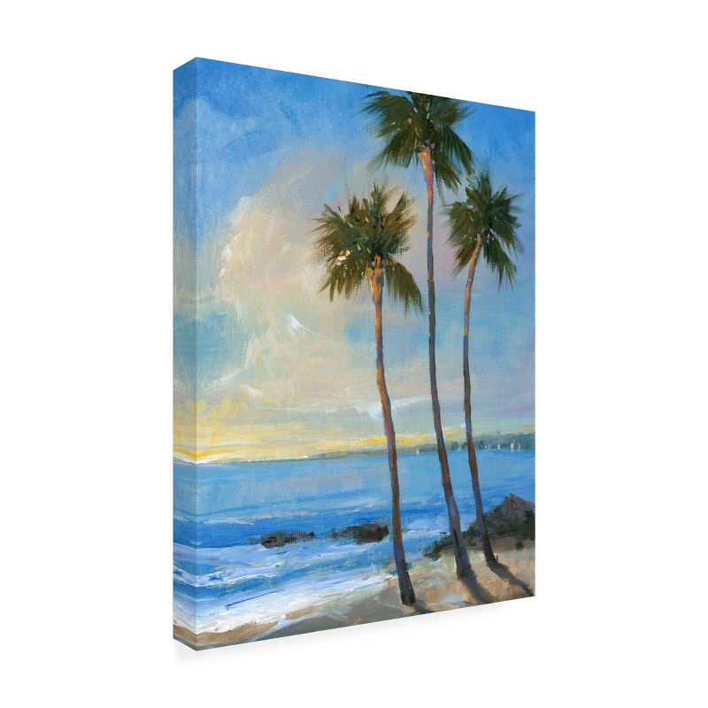 Tim Otoole 'Tropical Breeze Ii' Outdoor Canvas
