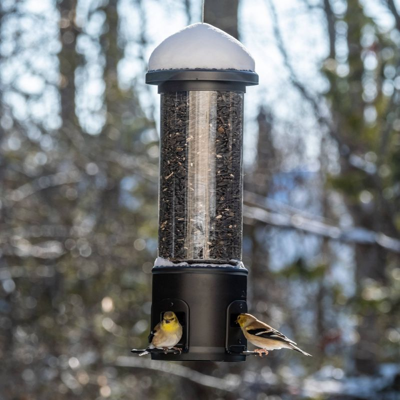 Nature's Way Bird Products 3.1qt Squirrel Shield Metal Feeder 17.25"