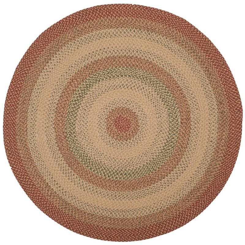 Braided BRD303 Hand Woven Area Rug - Rust/Multi - 3' round - Safavieh.