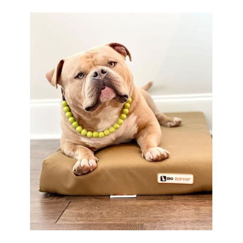 Big Barker 4" Orthopedic Crate Bed - Tan - Medium - 33.2" x 21.2" x 4"