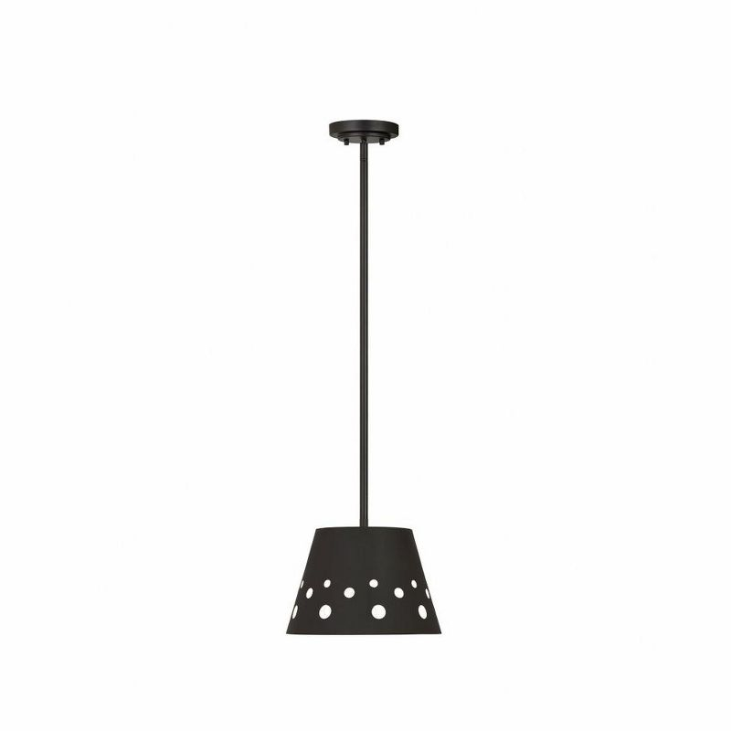 Z-Lite Katie 1 - Light Pendant in  Matte Black