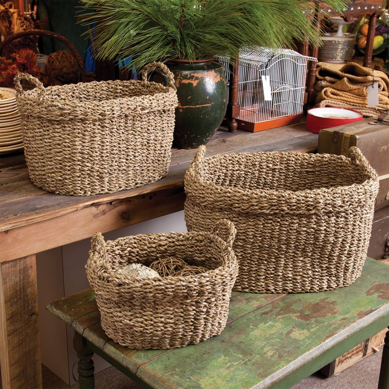 Plum & Post Seagrass Oval Baskets With Handles & Cuffs Set of 3