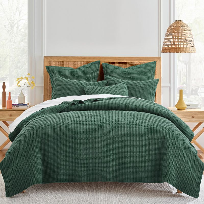 Mills Waffle Forest Green Twin Quilt Set - Levtex Home