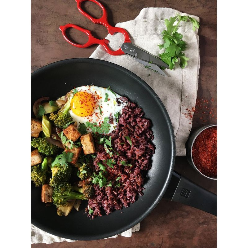 ZWILLING Madura Plus Forged 11-inch Nonstick Fry Pan