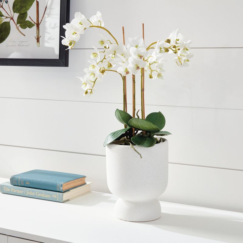 Plum & Post Phalaenopsis Orchid Faux (Fake) Drop-In 20"