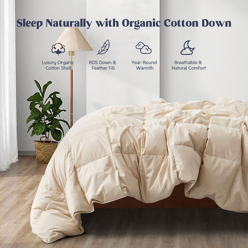 Puredown All Season Organic Cotton Down Comforter - 100% Natural, Chemical-Free, Medium Warmth Duvet Insert, Off-white, Full/Queen