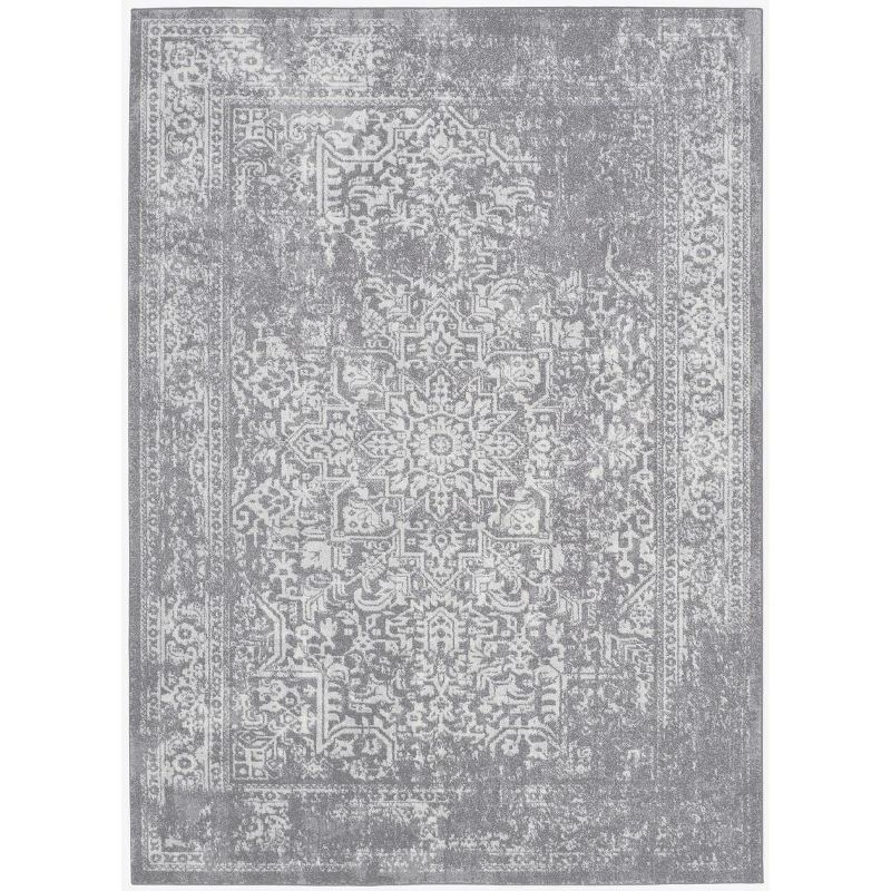 Evoke EVK256 Power Loomed Indoor Area Rug - Silver/Ivory - 6'7"x9' - Safavieh