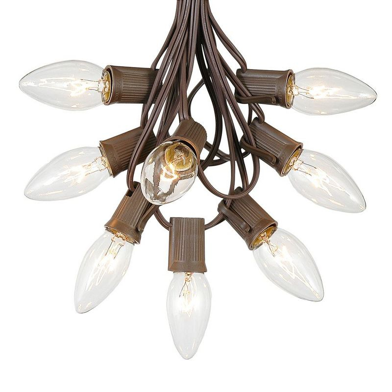 Novelty Lights 25 Feet C9 Clear Christmas String Light Set, Vintage Holiday Hanging Light Set, Brown Wire