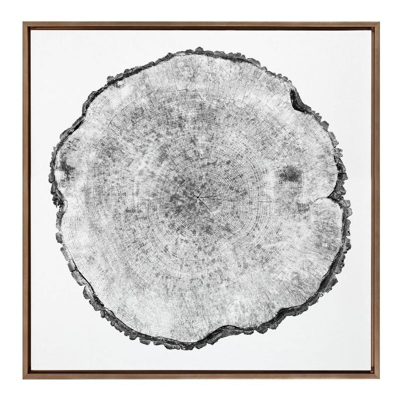 30" x 30" Sylvie Tree Rings Framed Wall Canvas by Emiko and Mark Franzen: Modern Botanical Art - Kate & Laurel All Things Decor