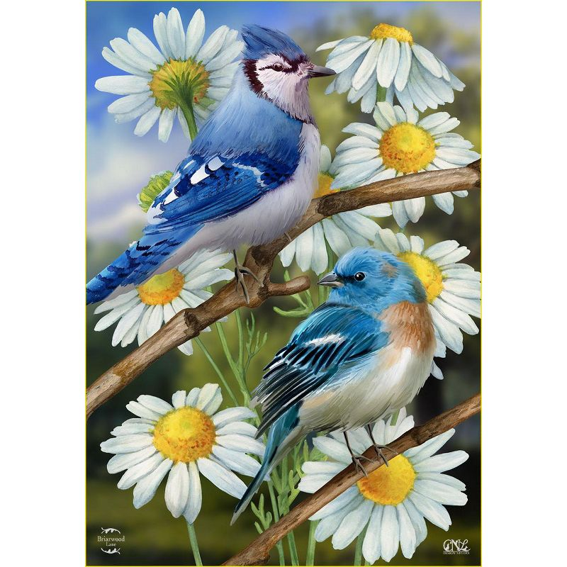 Briarwood Lane Spring House Flag 40x28 For Outdoor Birds and Daisies For Spring House Flag