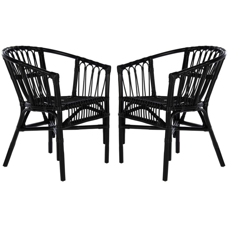 Adriana Rattan Accent Chair - Set of 2 - ACH6505 - Black - Safavieh