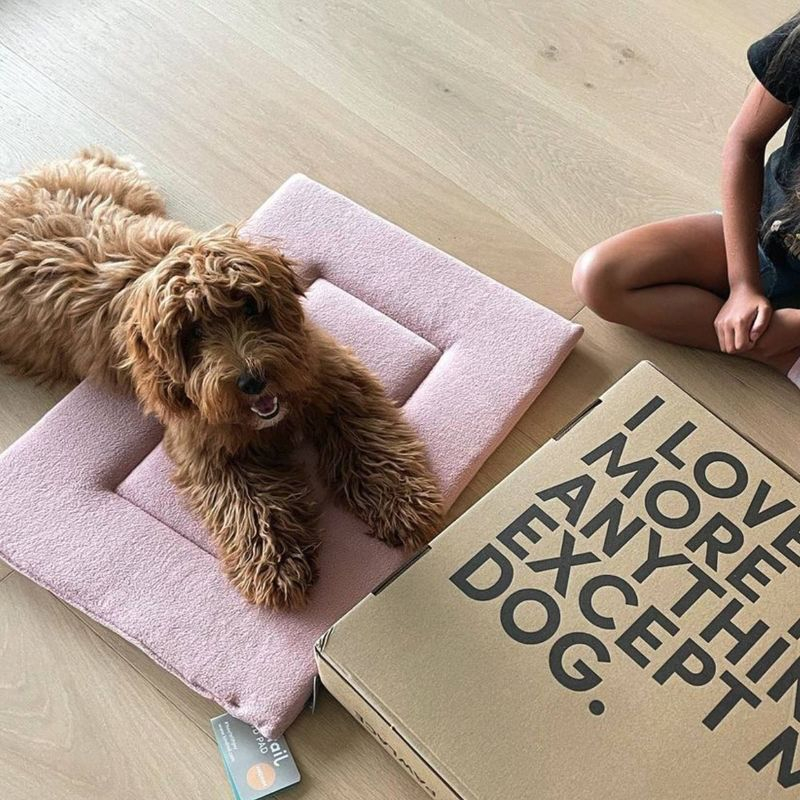 KindTail PAWD Cat and Dog Crate Pad - M - Pink