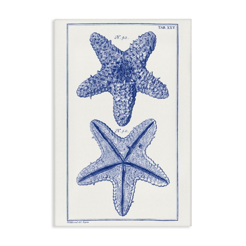 Stupell Industries Blue Starfish Studies, 16" x 24"