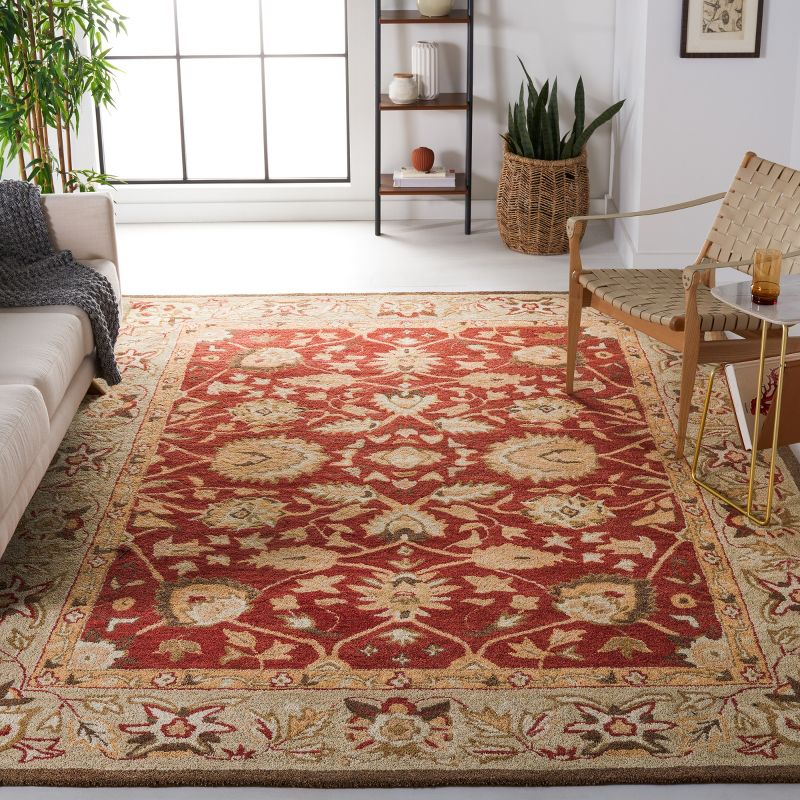 Anatolia AN512 Hand Tufted Indoor Area Rug - Rust/Green - 9'x12' - Safavieh