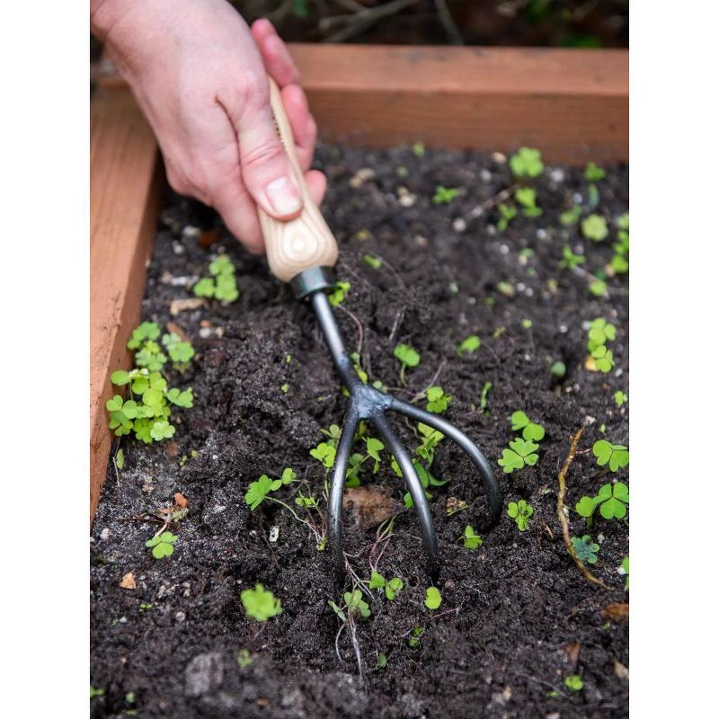 Gardener's Supply Company Lifetime Garden Cultivator | Heavy Duty Forged Steel with Ergonomic Hardwood Handle | Gardening Hand Tool for Weeding and