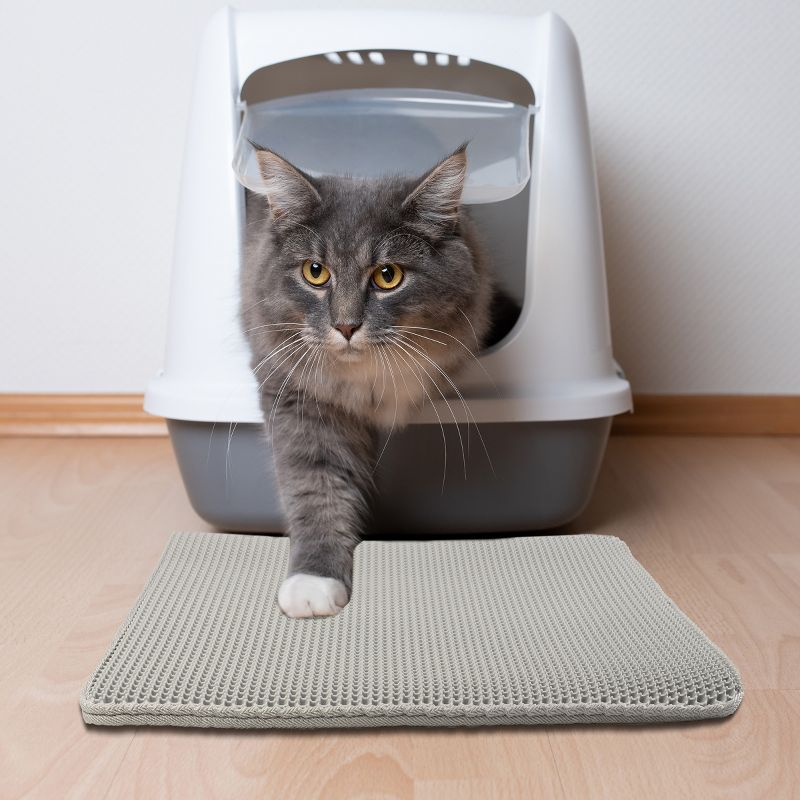 PETMAKER 24x15-Inch Double-Layer Waterproof Cat Litter Mat (Gray)
